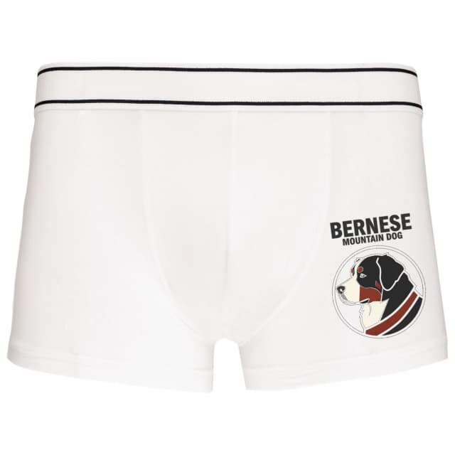 Boxerky Bernese Mountain Dog  Trojbarevný Horský Mazlíček Pro Srdce A Dobrodruhy