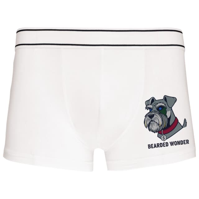 Boxerky Šarmantní Schnauzer S Hustým Vouskem A Zářivýma Modrýma Očima Bearded Wonder