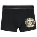 Boxerky Roztomilý Chlupatý Přítel Havanese Fluffy Friend Pro Milovníky Pejsků