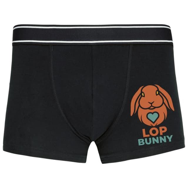 Boxerky Roztomilý Lop Králíček Se Srdcem Ušatý Symbol Lásky