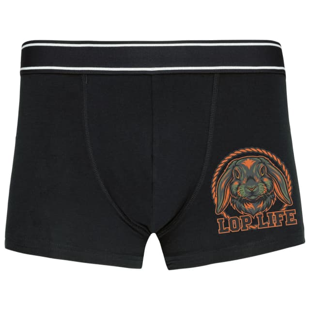 Boxerky Hrdý Lop Králík Ušák Maskot Městského Stylu A Divočiny