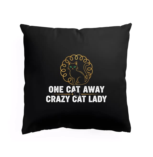 Polštář Ještě Jedna Černá Kočka A Stanu Se Crazy Cat Lady