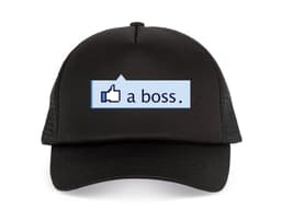 26971_D_tsk__k_iltovka_Like_a_Boss_MAIN