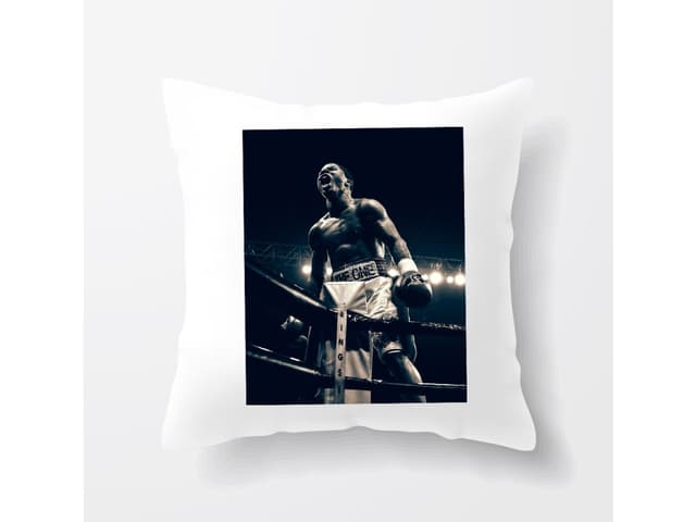 Polštář Gervonta Davis