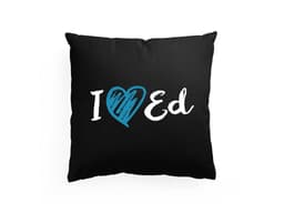 6017_Pol_t___I_love_Ed_Sheeran_MAIN