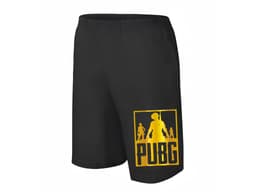 40911_P_nsk__d_tsk__Kra_asy_PUBG_MAIN