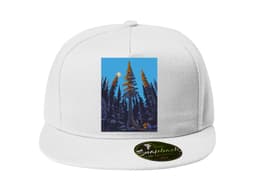 22846_Snapback_Kempov_n__MAIN