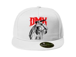 22909_Snapback_DMX_MAIN