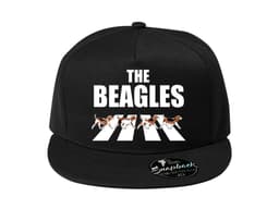 43897_Snapback_The_beatles_b_glov__MAIN