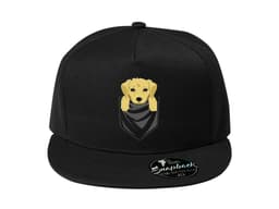31082_Snapback_Zlat__retr_vr_kapsi_ka_MAIN