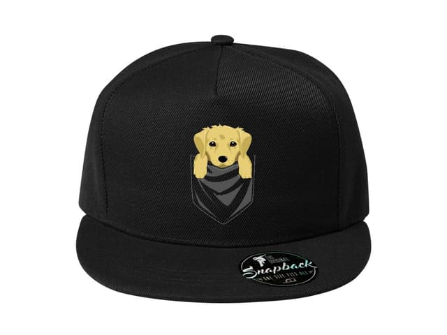 Snapback Golden Retriever s kapsou